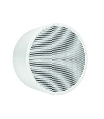 IP1001455A-000